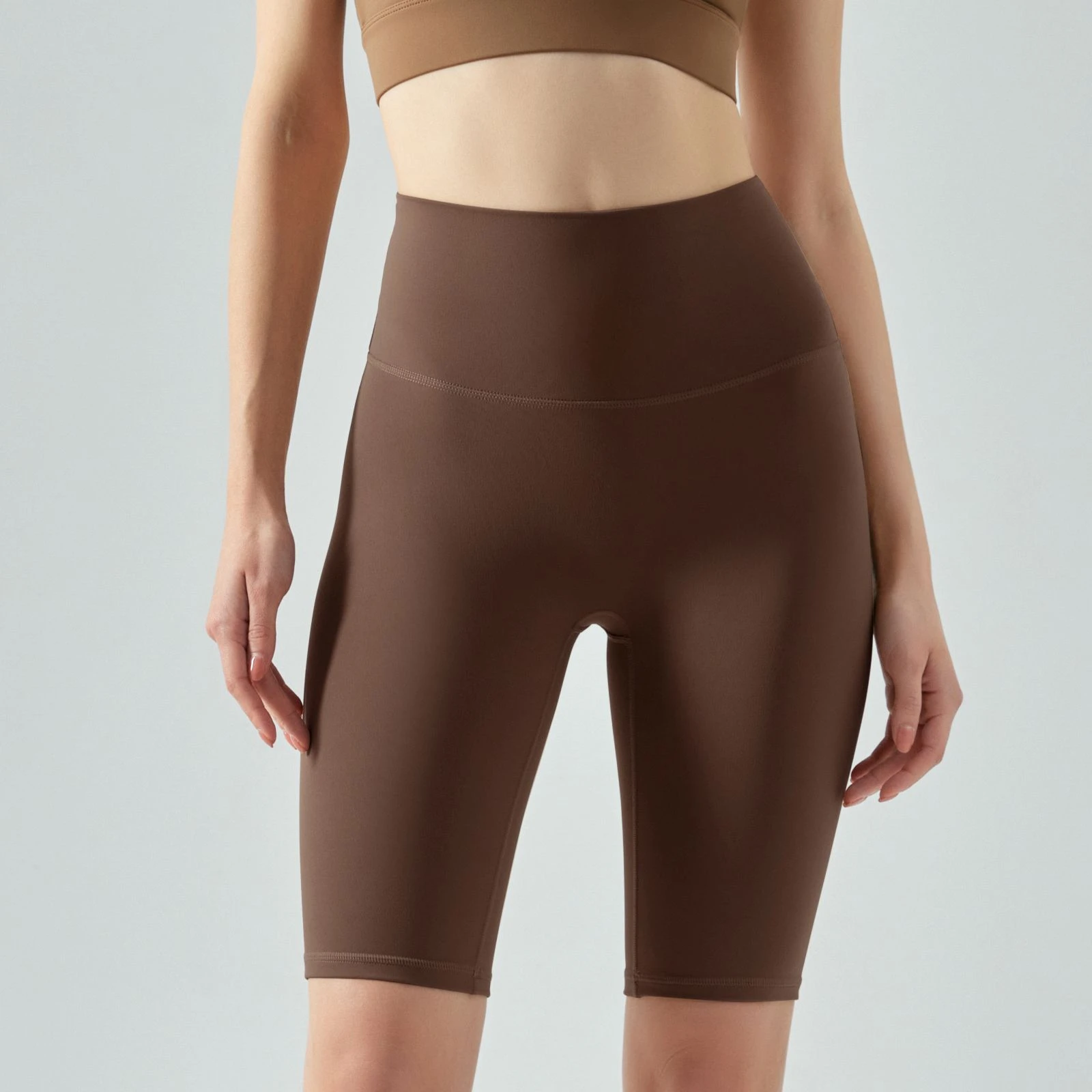Chestnut Brown001 Chestnut Brown001